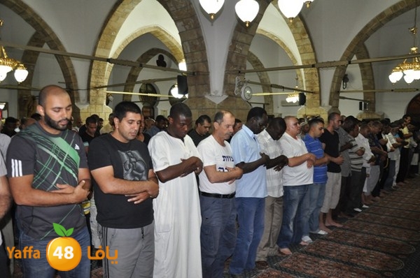 trawe7 7san bek 715 (6).JPG